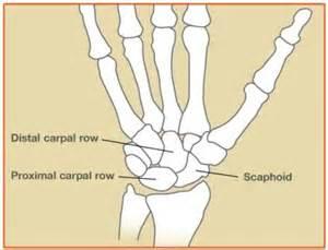 bone 2_0